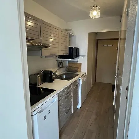 Apartment Roche Mantel - Alpe D'huez 25m2 Eclose Est Mae-0551 Huez